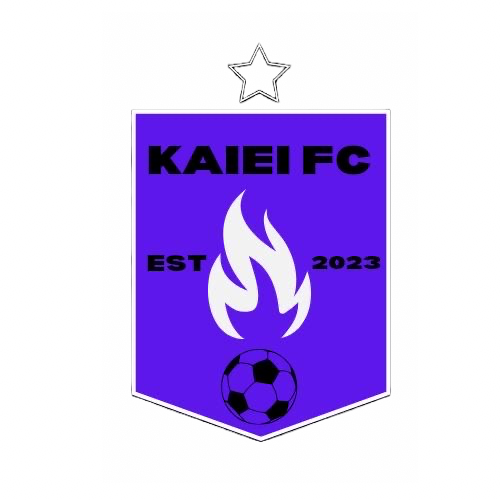 KAIEI STORE